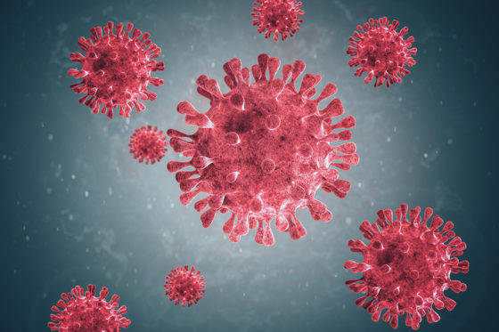 Microscopic images of the virus. Coronaviruses are a group of viruses that cause diseases in mammals and birds. In humans, the virus causes respiratory infections which are typically mild but, in rare cases, can be lethal.